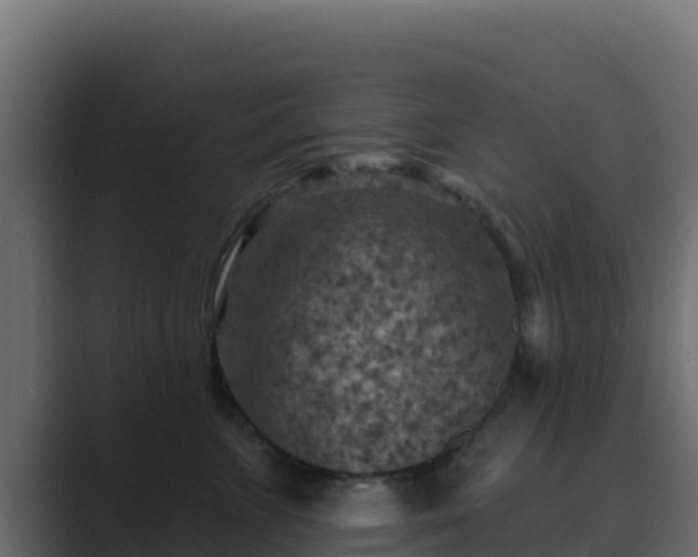X0000089680715200706281357
