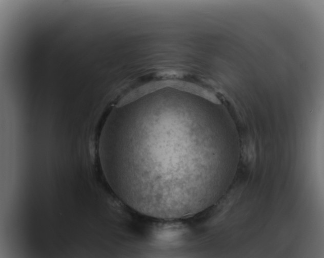 X0000089680716200706281357
