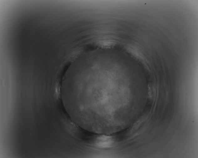 X0000089680718200706281357