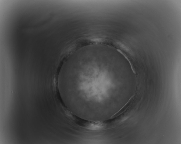 X0000089680720200706281357