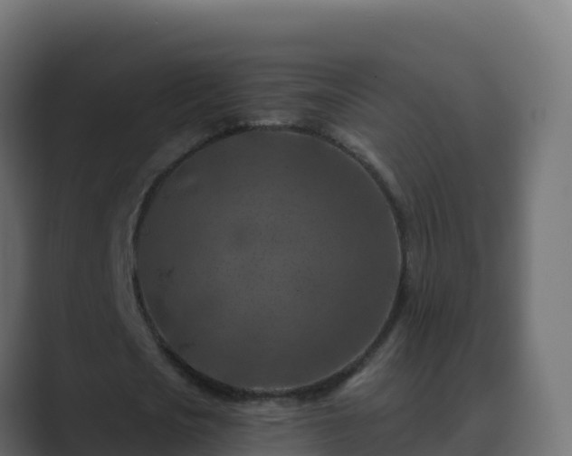 X0000089680721200706281357