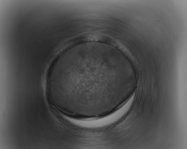 X0000089680722200706281357