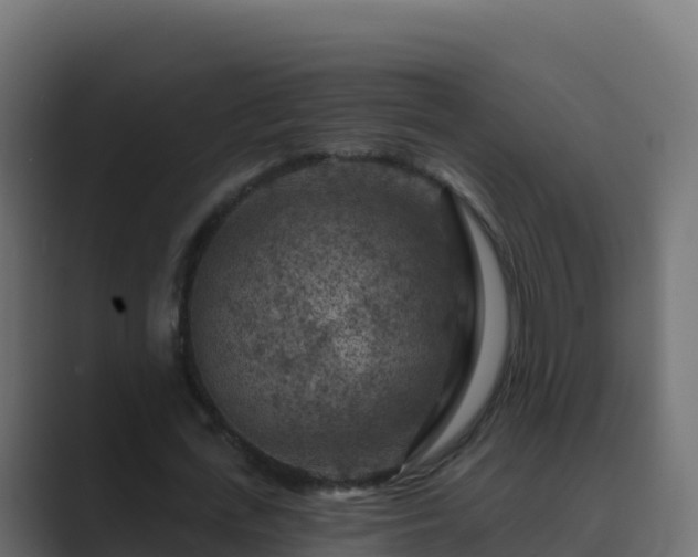 X0000089680723200706281357