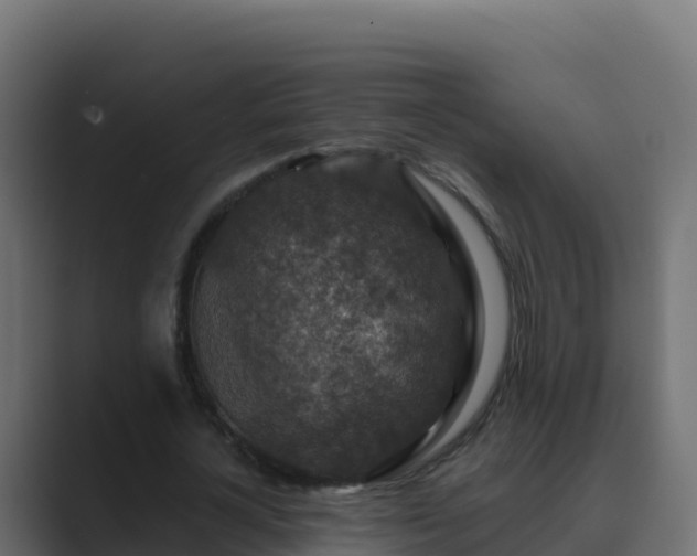 X0000089680724200706281357
