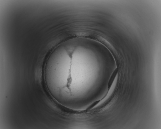 X0000089680725200706281357