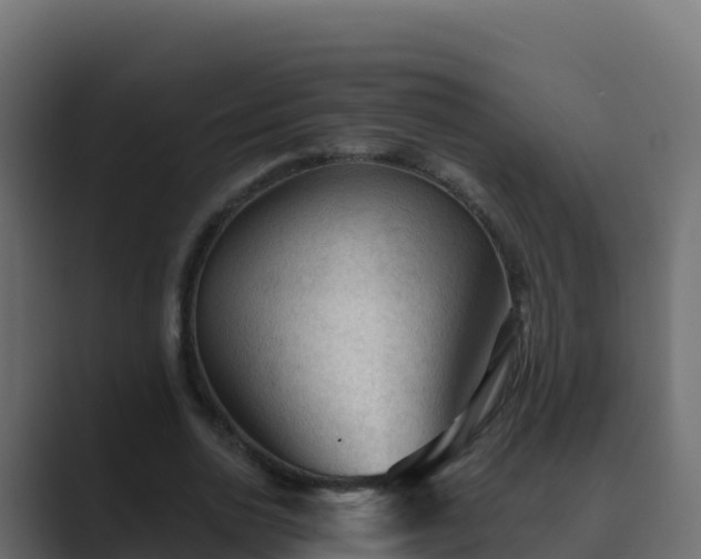 X0000089680726200706281357