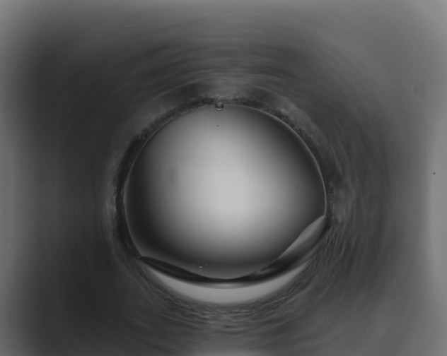 X0000089680727200706281357