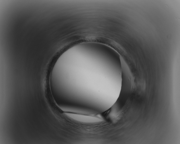 X0000089680728200706281357
