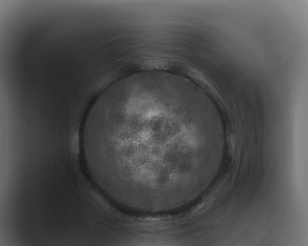 X0000089680729200706281357