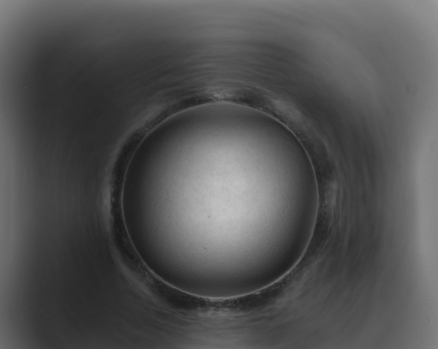 X0000089680730200706281357