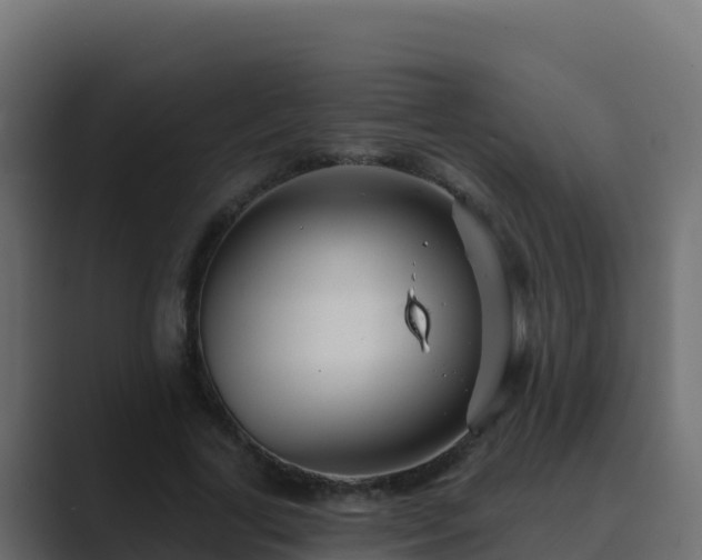 X0000089680731200706281357