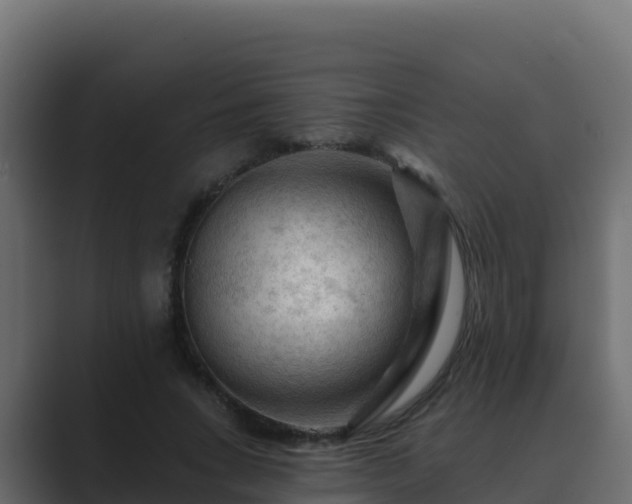 X0000089680735200706281357