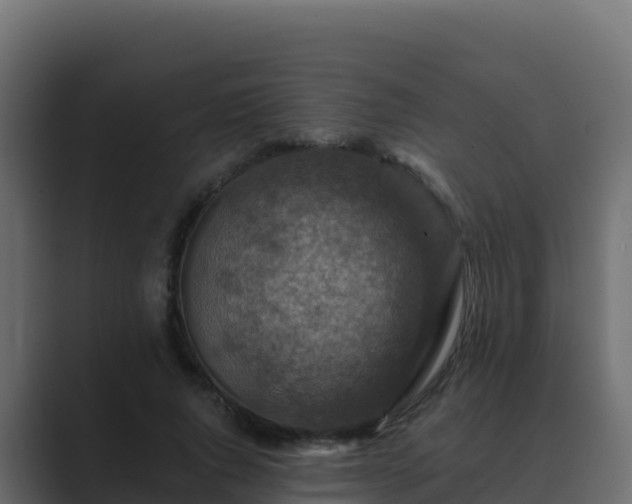 X0000089680736200706281357