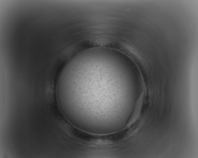 X0000089680737200706281357