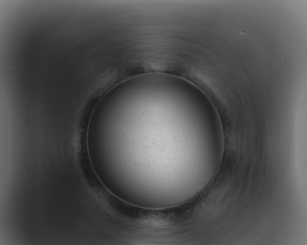 X0000089680738200706281357
