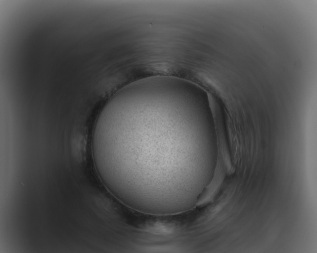 X0000089680739200706281357