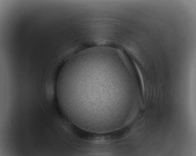 X0000089680740200706281357