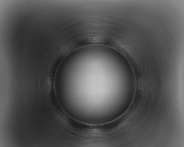 X0000089680741200706281357
