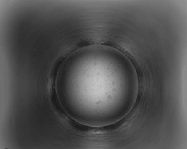 X0000089680742200706281357