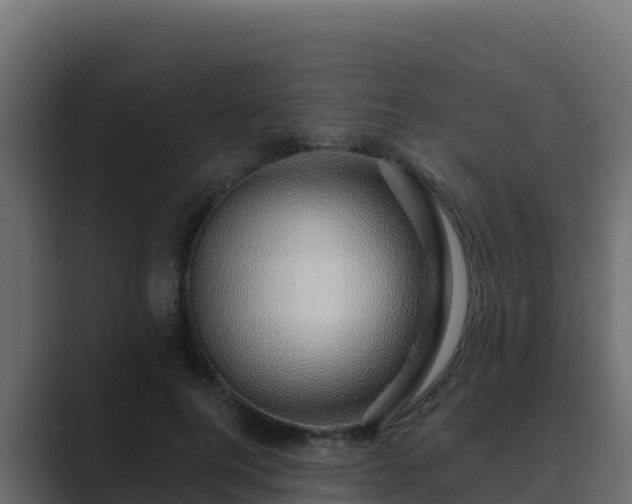 X0000089680744200706281357