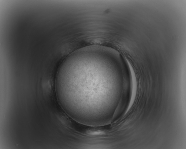 X0000089680747200706281357