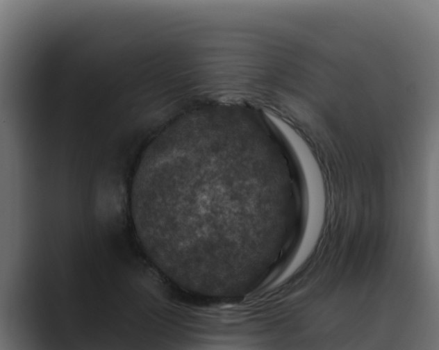 X0000089680748200706281357