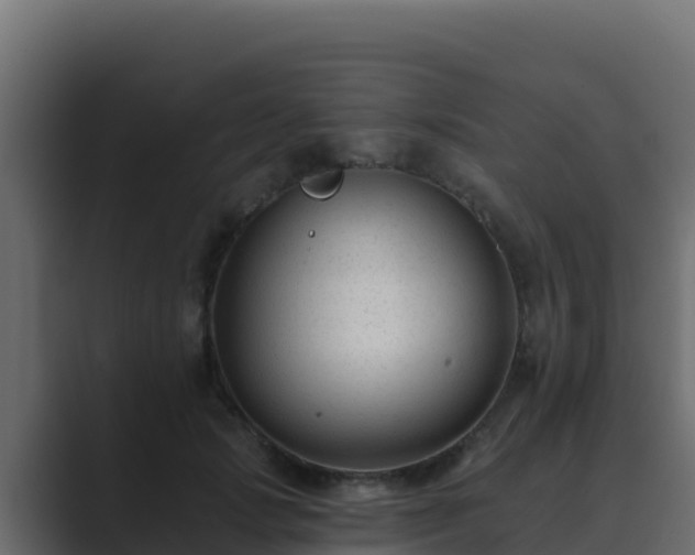 X0000089680749200706281357
