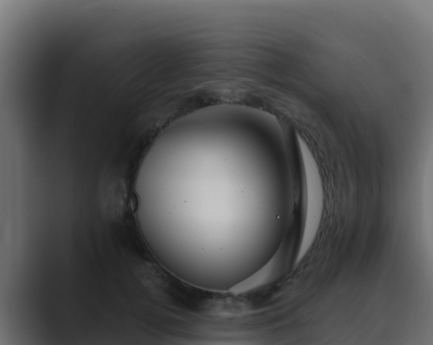 X0000089680752200706281357