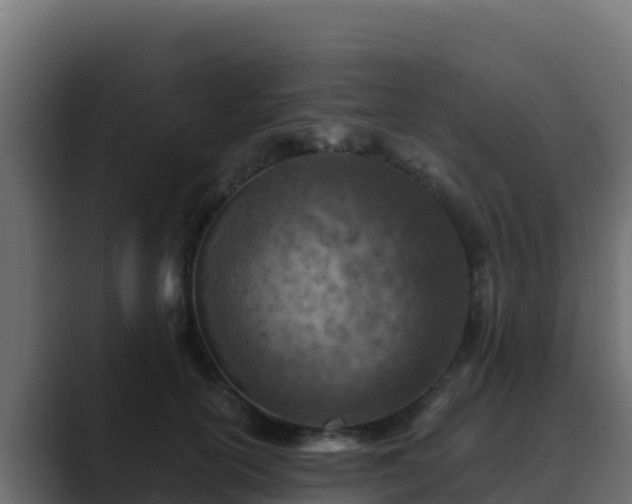 X0000089680754200706281357
