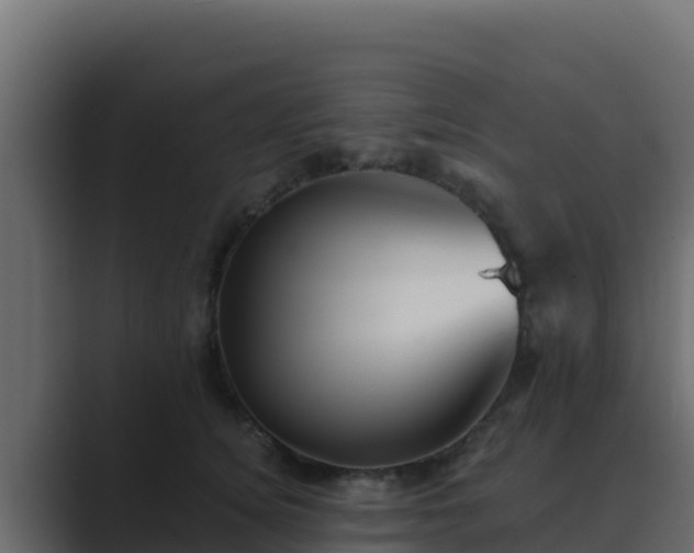 X0000089680756200706281357