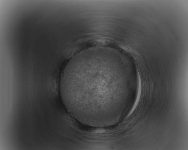 X0000089680759200706281357