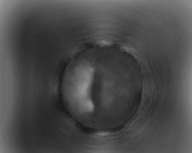 X0000089680760200706281357