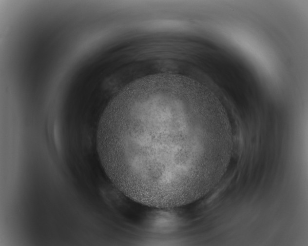 X0000089680765200706281357
