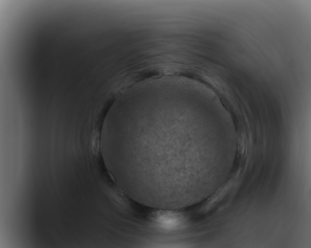 X0000089680766200706281357