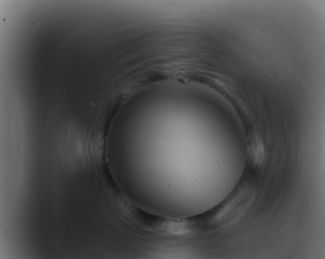 X0000089680767200706281357