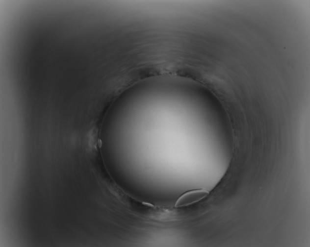 X0000089680768200706281357