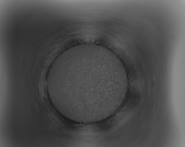 X0000089680769200706281357