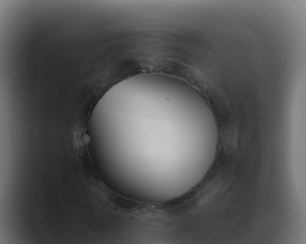 X0000089680770200706281357