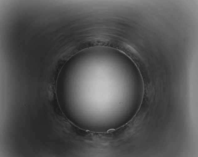 X0000089680774200706281357