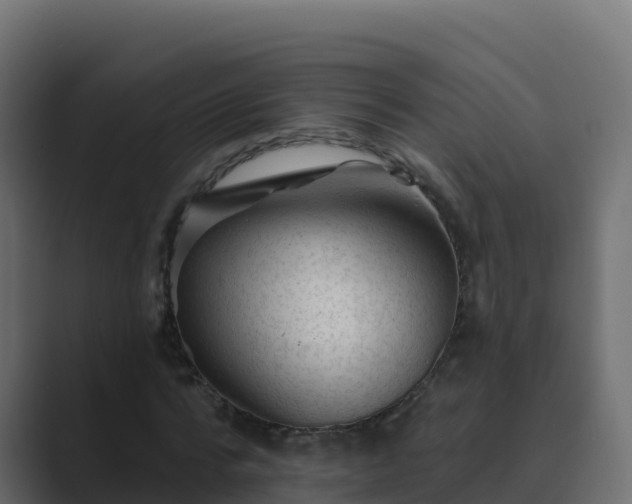 X0000089680776200706281357