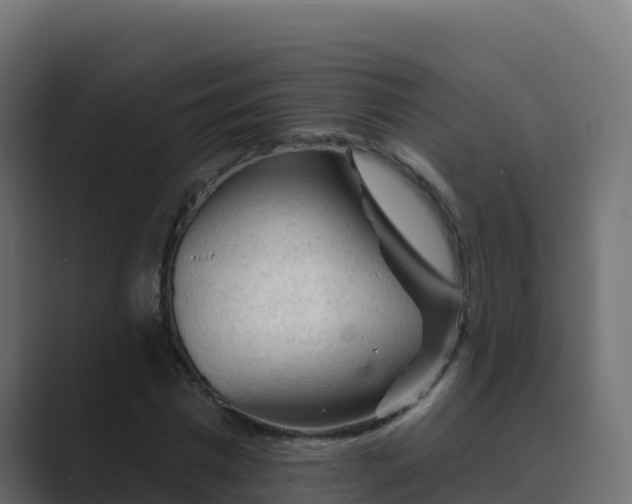 X0000089680777200706281357
