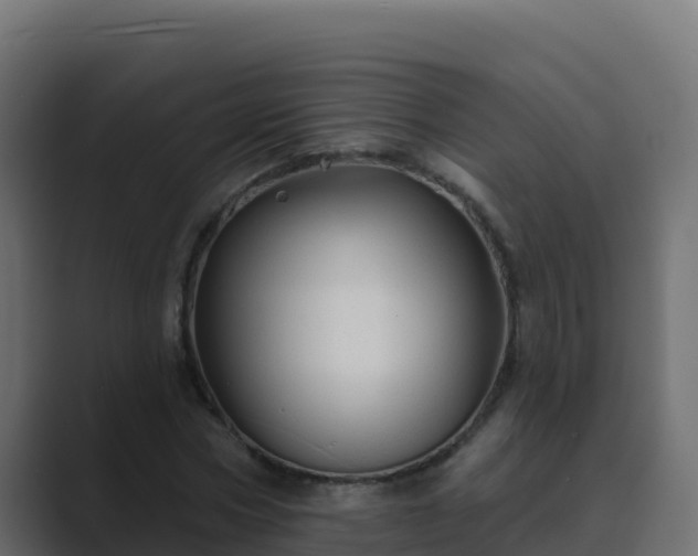 X0000089680778200706281357