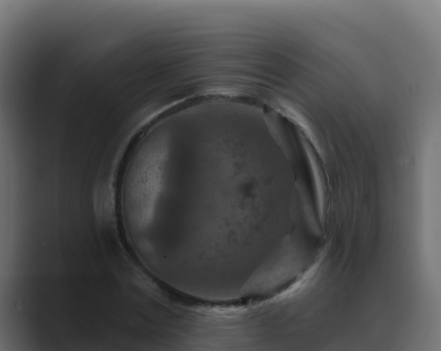 X0000089680779200706281357