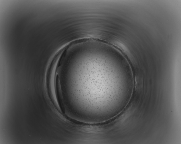 X0000089680780200706281357