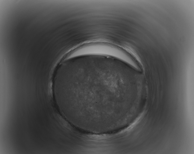 X0000089680781200706281357