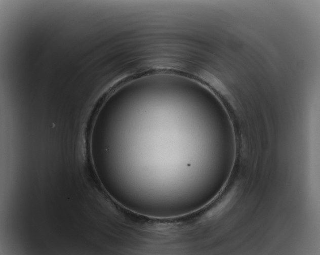 X0000089680782200706281357