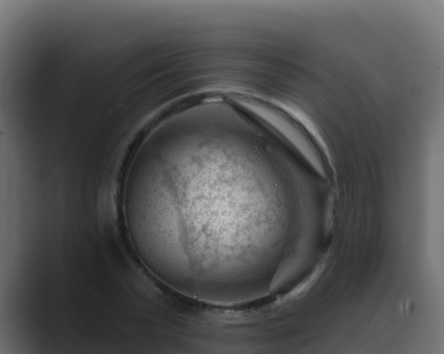 X0000089680783200706281357
