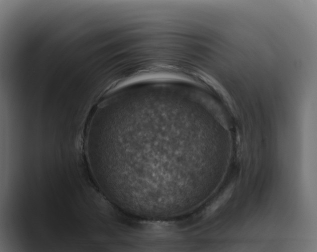 X0000089680785200706281357