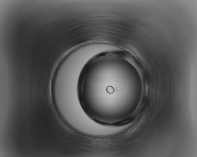 X0000089680788200706281357