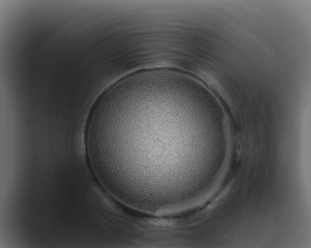 X0000089680789200706281357